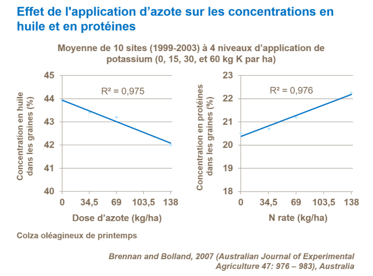 Graphique sur les effets de l&rsquo;azote sur les concentrations en prot&eacute;ines et en huile