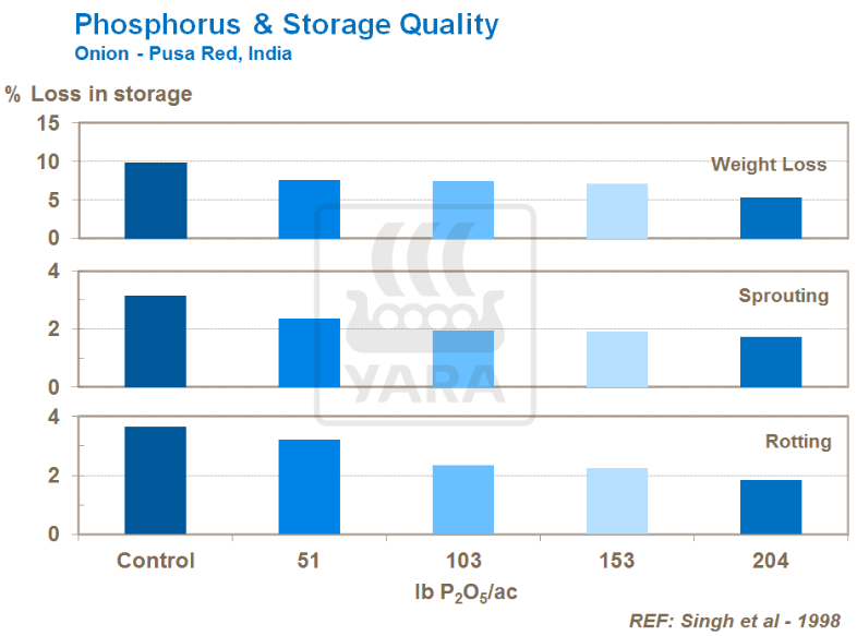 Phosphore et qualité de stockage