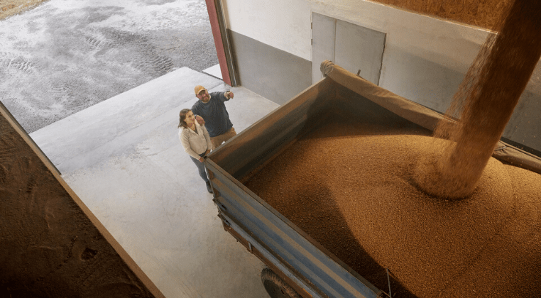 Un agriculteur et sa fille regardent leur récolte de blé