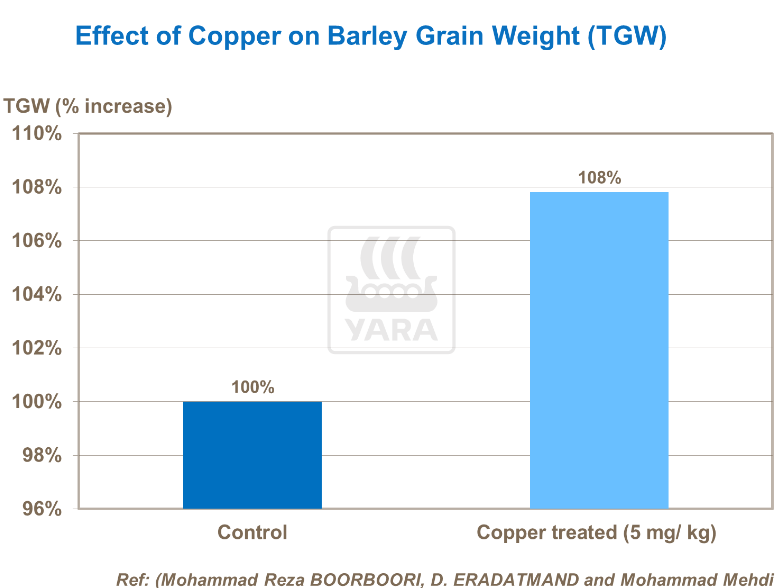 Effet du cuivre sur poids des grains d'orge