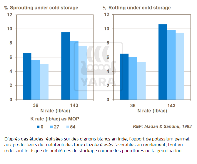 Équilibre potassium / azote et qualité