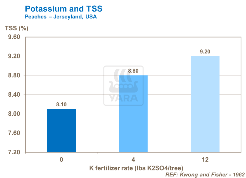 Potassium et SST - Pêches 