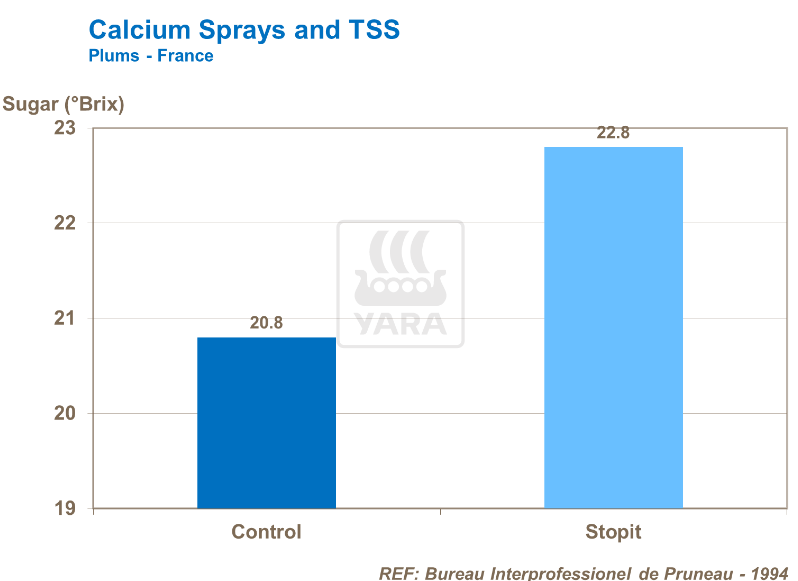 Pulvérisation de calcium et SST - Prunes