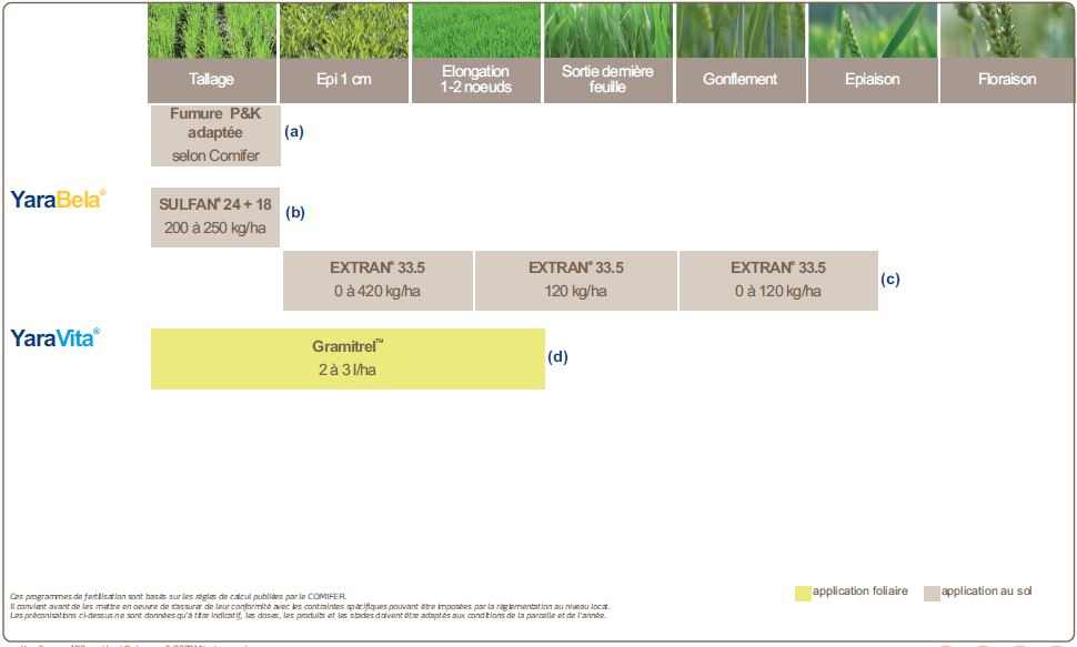 Programme de nutrition du blé améliorant