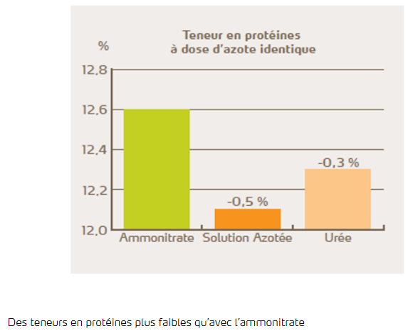 Teneur en protéines à dose d'azote identique