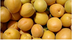 abricots