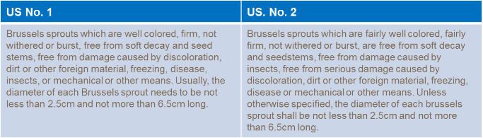 Critères de qualité des choux de Bruxelles