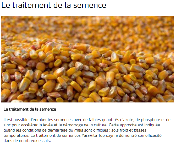 Le traitement de la semence