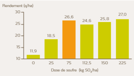 L’apport optimal de soufre sur colza se situe à 75 kg SO3/ha.