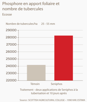 Lien entre phosphore et nombre de tubercules